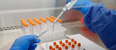 Autorizan el uso de anticuerpos monoclonales como tratamiento para la COVID-19 Autorizan el uso de anticuerpos monoclonales como tratamiento para la COVID-19