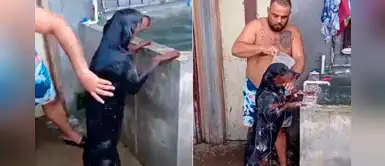 Perrita se para en dos patas para colaborar con su dueño mientras es bañada Perrita se para en dos patas para colaborar con su dueño mientras es bañada