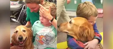 Niño accidentado logró recuperarse gracias a los cariños de un perro Niño accidentado logró recuperarse gracias a los cariños de un perro