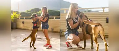 Perrita salta descontroladamente al reencontrarse con su adiestradora Perrita salta descontroladamente al reencontrarse con su adiestradora