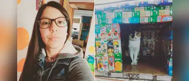 Joven recolecta cajas de jugo para construir casas para los gatitos callejeros Joven recolecta cajas de jugo para construir casas para los gatitos callejeros