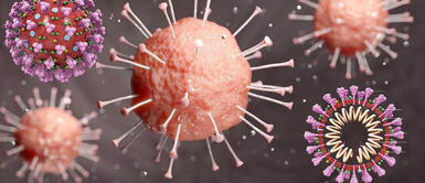 Hallan variación genética que explica casos más graves en pacientes COVID-19 Hallan variación genética que explica casos más graves en pacientes COVID-19