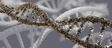 Investigadores rusos identifican genes que determinan la gravedad de la COVID-19 Investigadores rusos identifican genes que determinan la gravedad de la COVID-19