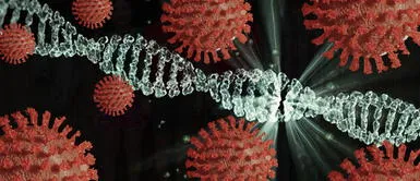 En Nueva York detectan nueva variante del COVID-19 que preocupa a científicos En Nueva York detectan nueva variante del COVID-19 que preocupa a científicos