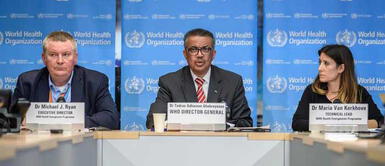 OMS sobre casos de gripe aviar en Rusia: "La probabilidad de infectarse es muy baja" OMS sobre casos de gripe aviar en Rusia: "La probabilidad de infectarse es muy baja"