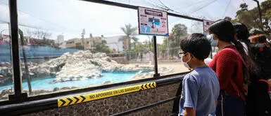 Segunda ola de COVID-19: ¿El Parque de las Leyendas reabrirá este 1 de marzo? Segunda ola de COVID-19: ¿El Parque de las Leyendas reabrirá este 1 de marzo?