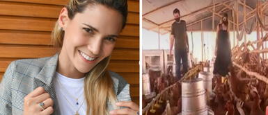 María Grazia Gamarra se reinventa y funda granja de gallinas en Huarochirí María Grazia Gamarra se reinventa y funda granja de gallinas en Huarochirí