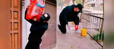 Joven recorre las calles para alimentar a los perritos callejeros Joven recorre las calles para alimentar a los perritos callejeros