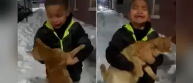 Niño suplica entre lágrimas a su madre rescatar a un gatito abandonado Niño suplica entre lágrimas a su madre rescatar a un gatito abandonado