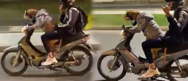 Joven puso en riesgo a su mascota al dejarle ‘conducir’ una motocicleta Joven puso en riesgo a su mascota al dejarle ‘conducir’ una motocicleta