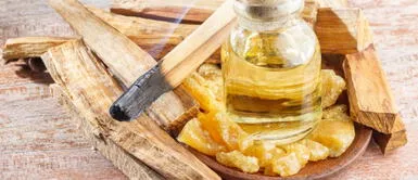 Beneficios de palo santo ¿Qué beneficios tiene el palo santo?