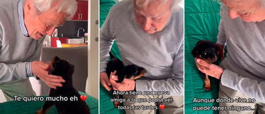 Adulto mayor recibe un perrito de regalo y su tierna reacción se hace viral Adulto mayor se emociona hasta las lágrimas tras recibir un cachorro en adopción