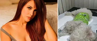 Rosángela Espinoza dio a conocer el calvario que vivió para que su mascota sea atendido. Rosángela denuncia a veterinaria por no atender a su perrito pese a estar grave