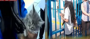 Niña duerme fuera del hospital Sabogal a la espera que su padre internado por COVID-19 Niña duerme fuera del hospital Sabogal a la espera de su padre internado por COVID-19