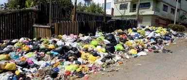 Reporta Residuos: Lanzan aplicativo móvil para alertar acumulación de basura en las calles Lanzan aplicativo móvil para alertar acumulación de basura en las calles