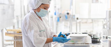 Presentan hamburguesa de legumbres para reforzar el sistema inmunológico Elaboran hamburguesa de legumbres para reforzar el sistema inmunologico