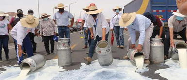 Lecheros del Perú pierden 30 mil litros de leche al día debido al paro de transportistas Paro de transportistas: ganaderos pierden 30 mil litros de leche al día en Arequipa