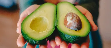 Semilla de palta Semillas de palta: sus beneficios anti envejecimiento y contra enfermedades al corazón
