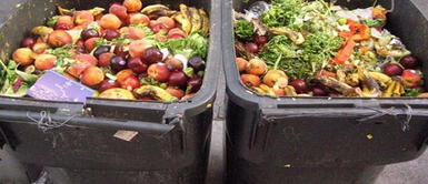 Nuestro país se desperdician 12,8 millones de toneladas de alimentos Perú bota la mitad de sus alimentos a la basura, según estudio