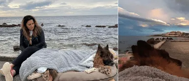 Perro con parálisis visitó el mar antes de morir: Cachorro con parálisis visitó el mar antes de morir: "No pude tocar el agua"