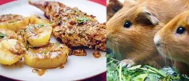 Receta del Picante de cuy Receta del picante de cuy: conoce cómo prepararlo y cuáles son sus beneficios, VIDEO