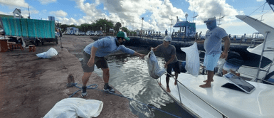 Sustraen más de dos mil toneladas de basura de los fondos marinos de Galápagos Sustraen más de dos mil toneladas de basura de los fondos marinos de Galápagos