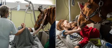 Caballo consuela a madre con enfermedad terminal que se aferra a su hijo Caballo de terapia consuela a madre con cáncer terminal que se aferra a su hijo