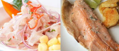 Semana Santa: Qué pescados son superalimentos y refuerzan sistema inmune frente a COVID-19 Semana Santa: Consume estos pescados que fortalecerán tu sistema inmunológico