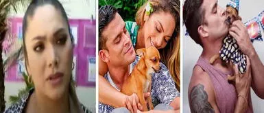 Christian Domínguez se olvidó del perrito que adoptaron juntos, afirma Isabel Acevedo Christian Domínguez se olvidó del perrito que adoptamos juntos, afirma Isabel Acevedo