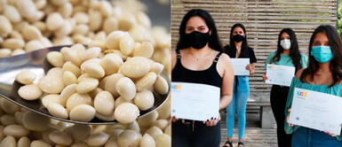 El suplemento vitamínico Tarwin es un proyecto de estudiantes universitarias y sus creadoras representarán al Perú en el Hult Prize. Universitarias crean suplemento nutricional a base de tarwi para combatir la anemia