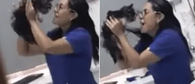 Cámara graba a veterinaria bailando con gatito antes de aplicarle su vacuna Cámara graba a veterinaria bailando con gatito antes de aplicarle su vacuna