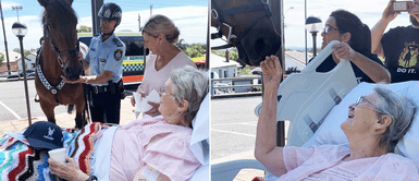 Anciana decidió acariciar un caballo antes de fallecer: Anciana decidió acariciar un caballo antes de fallecer: "Ahora duerme feliz"