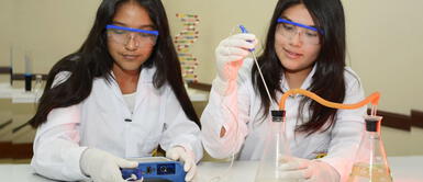 “Becas de mentorías María Reiche” para mujeres científicas Becas para mujeres científicas: Concytec abre convocatoria ¡Postula aquí!