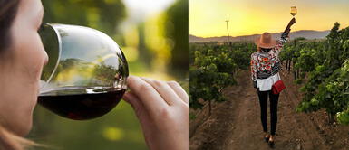 Empresa solicita personal que realmente ame el vino Trabajo: Viñedo pagará 10 mil dólares mudarte y probar sus vinos