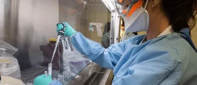 Variante brasileña de COVID-19 aparece en mayoría de casos en 10 regiones, alerta INS Variante brasileña de COVID-19 aparece en mayoría de casos en 10 regiones, alerta INS