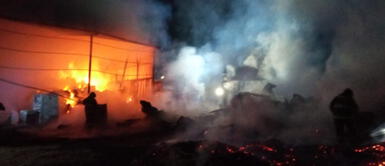 Varios animales muertos en incendio que afecta caballerizas Varios animales muertos en incendio que afecta caballerizas