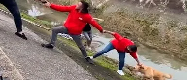 Jóvenes forman cadena humana para salvar a perro que cayó a un arroyo Jóvenes forman cadena humana para salvar a perro que cayó a un canal