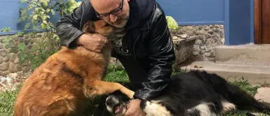 Beto Ortiz se despide de su perro: “Chau, Osito hermoso. Gracias por todo” Beto Ortiz se despide de su perro: “Chau, Osito hermoso. Gracias por todo”