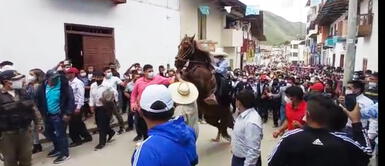 Pedro Castillo se dirige a su centro de votación montado a caballo y se lleva tremendo susto ELECCIONES 2021: Pedro Castillo se lleva tremendo susto tras asistir a su centro de votación montado de una yegua