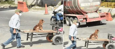 Señor utiliza su carreta para llevar a su perrito al trabajo: Señor utiliza su carreta para llevar a su perrito al trabajo: "Es su hijo"