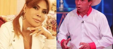 Magaly Medina se refiere a la propuesta de Pedro Castillo. Magaly Medina responde a Pedro Castillo tras propuesta de eliminar programas de farándula