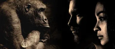 Polémico experimento en China: crearon embriones con mezcla de mono y humano Polémico experimento en China: crearon embriones con mezcla de mono y humano