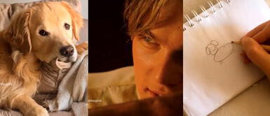 Perro y su dueño recrean escena de 'Titanic' y resultado hace reír a miles Perro y su dueño recrean escena de 'Titanic' y resultado hace reír a miles