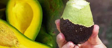 ¿Cuánta palta puedes comer al día? ¿Cuánta palta se puede comer al día?