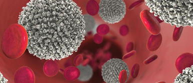 Las personas con cáncer de la sangre pueden no estar protegidas de forma óptima tras la vacunación con COVID-19 Personas con leucemia pueden no estar protegidas de forma óptima tras la vacunación con COVID-19