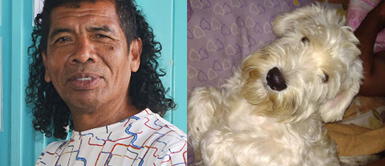 Cachay pide ayuda para encontrar a su perrito: Cachay solicita ayuda para hallar a su perro extraviado: "Estoy muy preocupado, es mi familia"