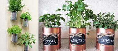 Cómo tener un huerto en casa Día Internacional de la Tierra: ¿Cómo realizar un biohuerto en casa?