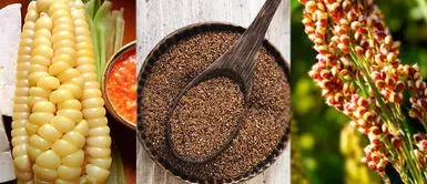 Quinua, kiwicha y cañihua son alimentos claves para combatir el frío y potenciar defensas Quinua, kiwicha y cañihua son alimentos claves para combatir el frío y potenciar defensas
