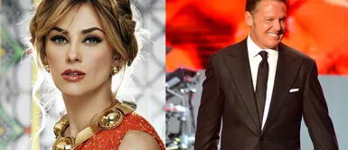 Al parecer, Luis Miguel no habría pagado más de un año la pensión de sus dos hijos. Abogado de Aracely Arámbula: Luis Miguel no ha colaborado ni con un peso en la manutención de sus hijos