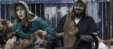 Pareja de venezolanos protege a 275 mascotas que rescataron de la calle Pareja de venezolanos protege a 275 mascotas que rescataron de la calle